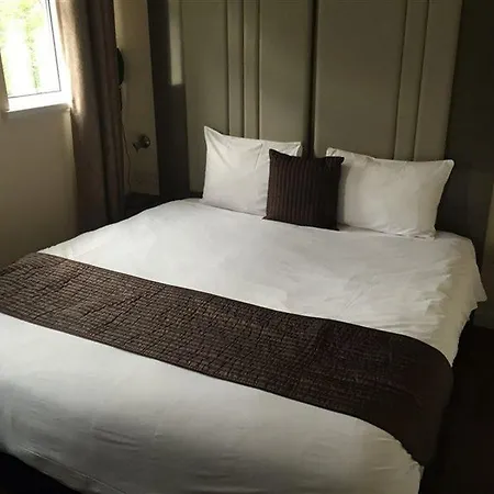 Oyo The Baltimore 酒店 3*