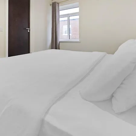 酒店 Oyo The Baltimore