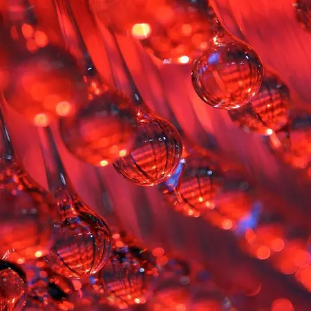 Oyo The Baltimore 米德尔斯伯勒